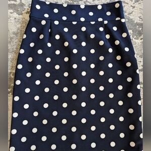 Navy and White Polka Dot Skirt